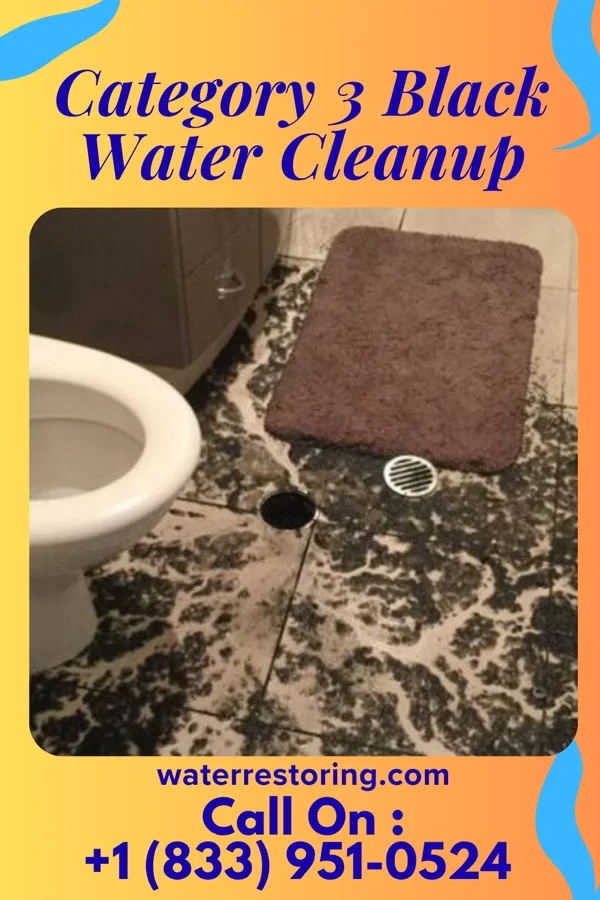 Category 3 Black Water Cleanup in Cerro Gordo, NC