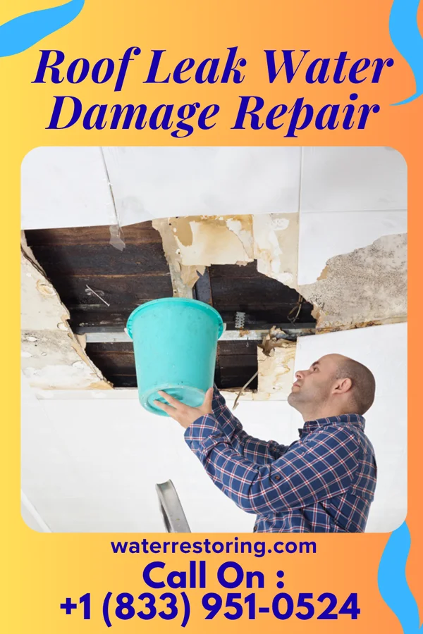 Roof Leak Water Damage Repair in Cerro Gordo, NC