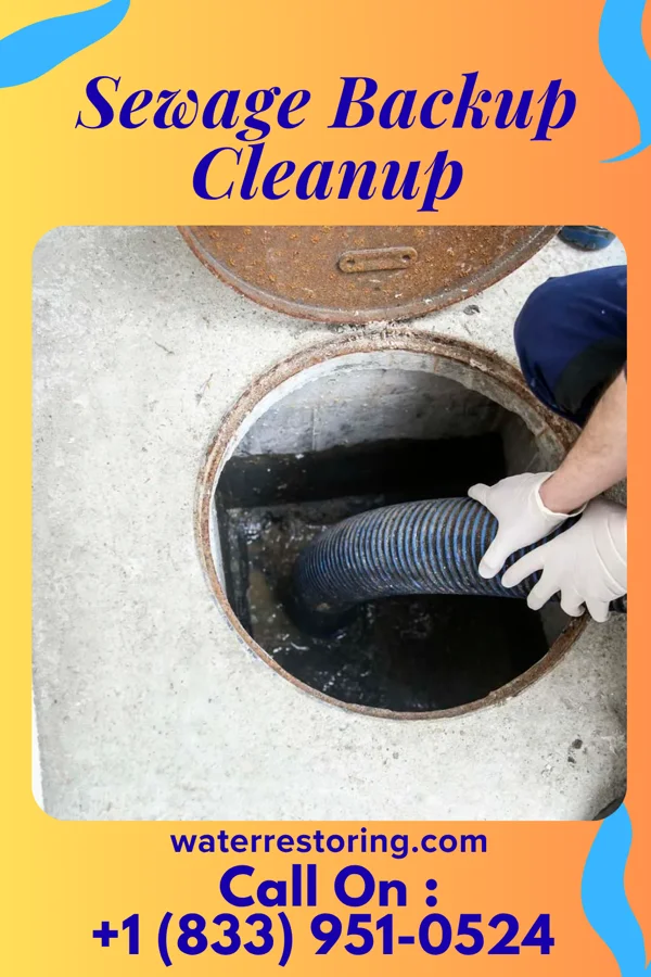 Sewage Backup Cleanup in Cerro Gordo, NC