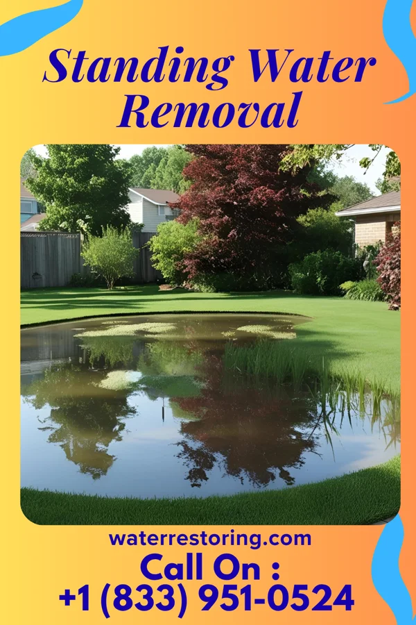 Standing Water Removal in Cerro Gordo, NC